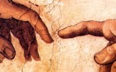 ¿Qué sentido tiene provocar la separación de los miembros de una sociedad humana?