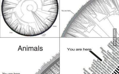 NO MIREMOS LA NATURALEZA CON OJOS HUMANOS, MIREMOS CON OJOS DE LA NATURALEZA, ASÍ ENTENDEREMOS, TAMBIÉN, AL HUMANO.