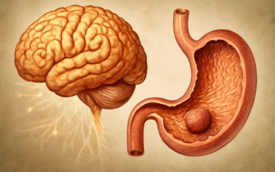 El Cerebro Orgánico («Organgehirn») y la Memoria Tisular: Explorando la Inteligencia Inherente del Órgano en la Medicina Germánica