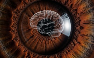 Iridología bajo la Lupa de la Nueva Medicina Germánica: Un Cruce de Perspectivas